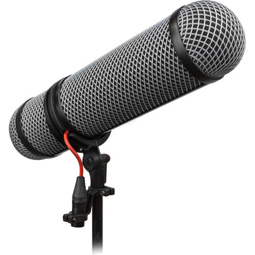 Audio