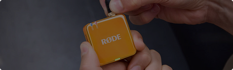 Rode