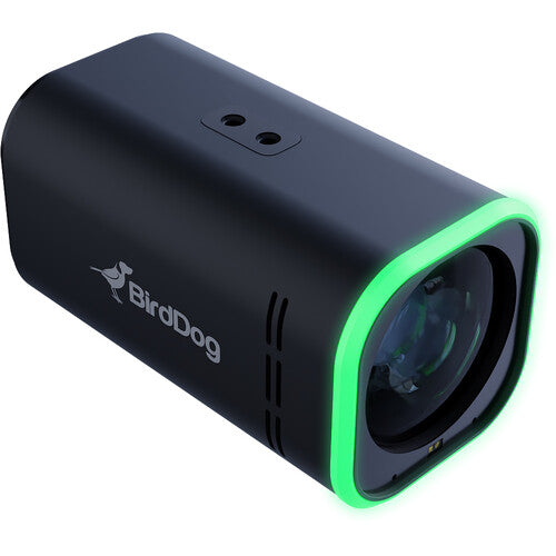 BirdDog Maki Ultra 4K Box Camera 12x (Black)