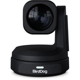 BirdDog Max UHD PTZ Camera with 12x Zoom (Black)