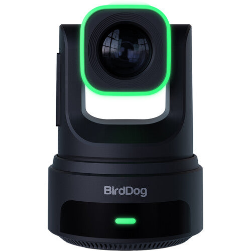 BirdDog X4E Ultra UHD PTZ Camera (Black)