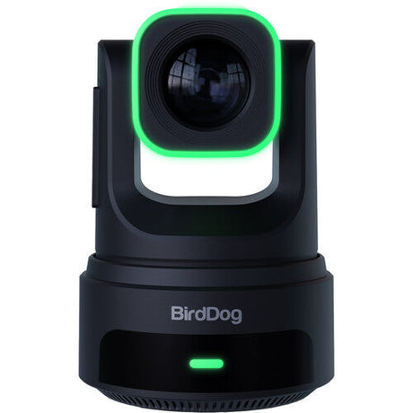 BirdDog X4E Ultra UHD PTZ Camera (Black)
