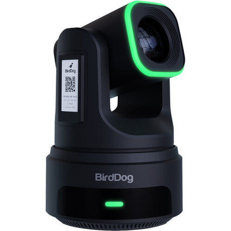 BirdDog X4E Ultra UHD PTZ Camera (Black)