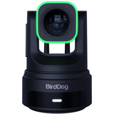 BirdDog X4 Ultra UHD PTZ Camera (Black)