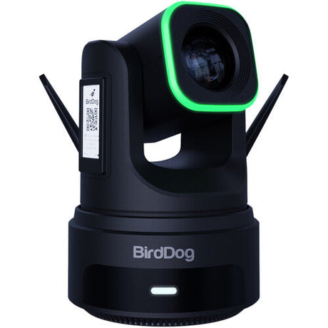 BirdDog X4 Ultra UHD PTZ Camera (Black)