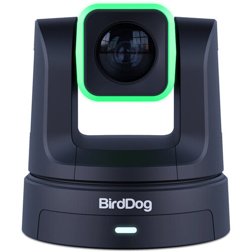 BirdDog X5 Ultra UHD PTZ Camera (Black)