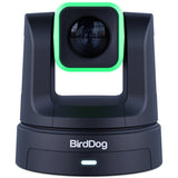 BirdDog X5 Ultra UHD PTZ Camera (Black)