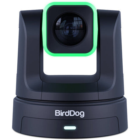 BirdDog X5 Ultra UHD PTZ Camera (Black)