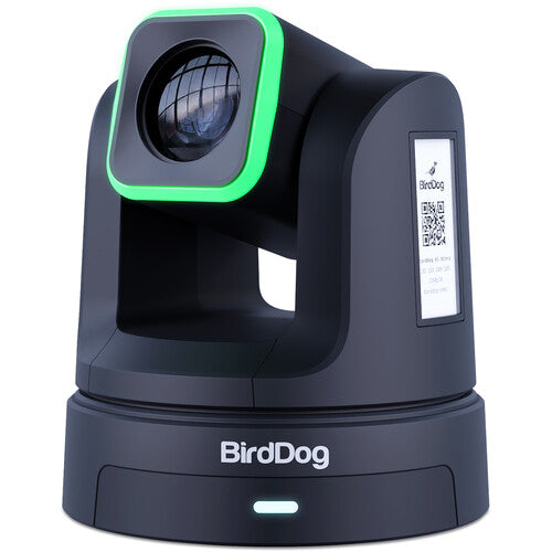 BirdDog X5 Ultra UHD PTZ Camera (Black)