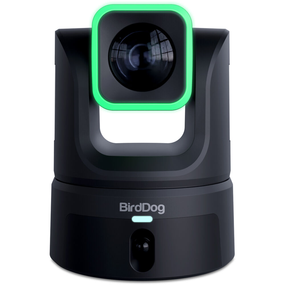 BirdDog XL Ultra UHD PTZ Camera (Black)