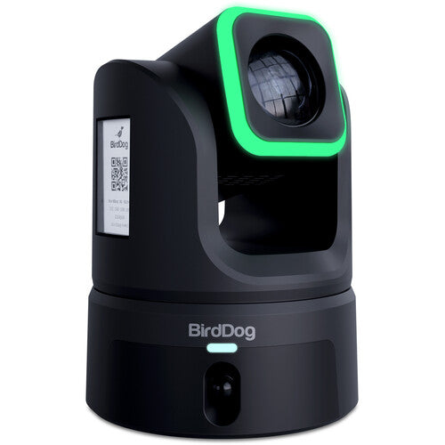 BirdDog XL Ultra UHD PTZ Camera (Black)