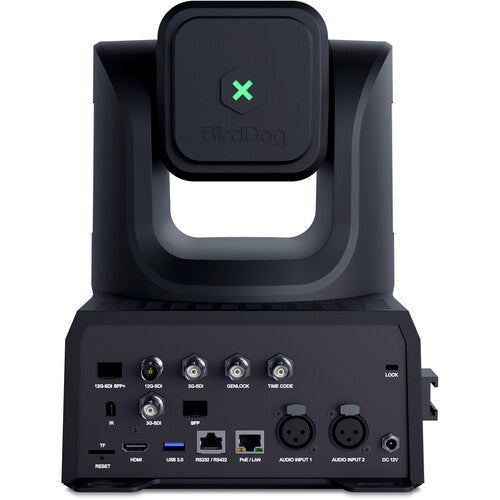 BirdDog XL Ultra UHD PTZ Camera (Black)