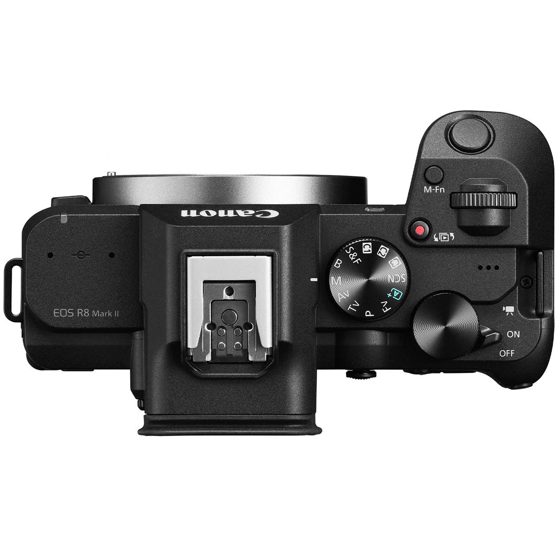 Canon EOS R8 Mark II with RF 24-105mm lens, compact full-frame kit