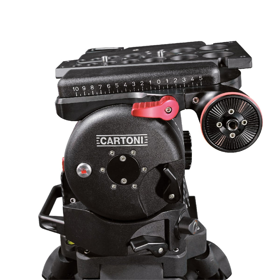Cartoni MASTER 65 - Dove Tail Plate - Image 3